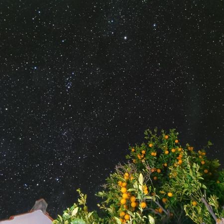 "Villa Servanda " - Relax, Nature, Wide Views Of The Sea And A Starry Sky Puntagorda  Exterior photo